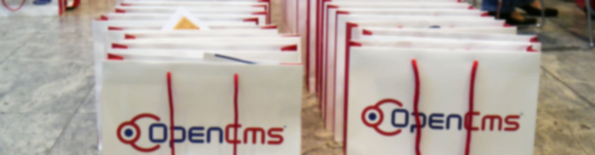 Several OpenCms bags standing in a row